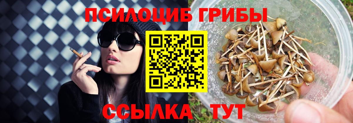 Галлюциногенные грибы GOLDEN TEACHER  Псилоцибиновые грибы Psilocybe  Вход с VPN  Кольчугино 