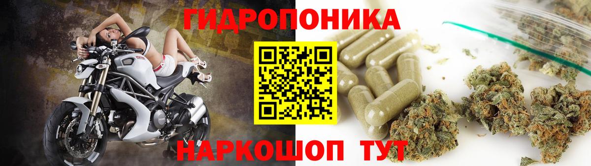 Конопля планчик  Бошки марихуана Ganja  Бошки Шишки индика  Кольчугино  МАРИХУАНА конопля  Вход с VPN 